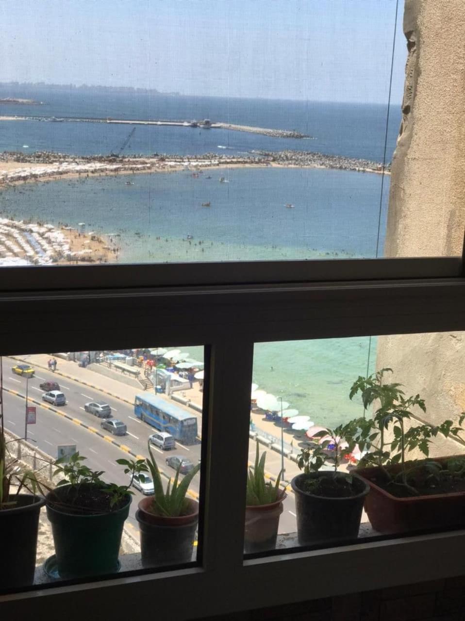 Cozy Beachfront Apartments